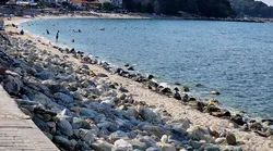 Galerie foto - Poza #4