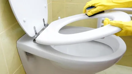 Buretele magic îndepărtează petele galbene ale scaunului de toaletă în câteva secunde. Cum se folosește