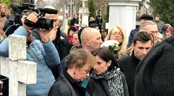Galerie foto - Poza #4
