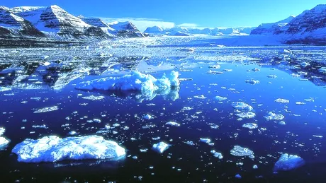Descoperire socanta a expertilor in Oceanul Arctic! Ce zacea pe sloiurile de gheata de la Polul Nord