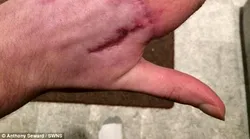 Galerie foto - Poza #4