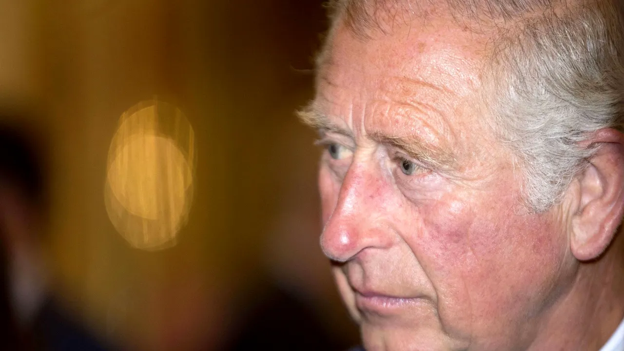 Mare petrecere la Casa Regala. Printul Charles e in extaz (6) 