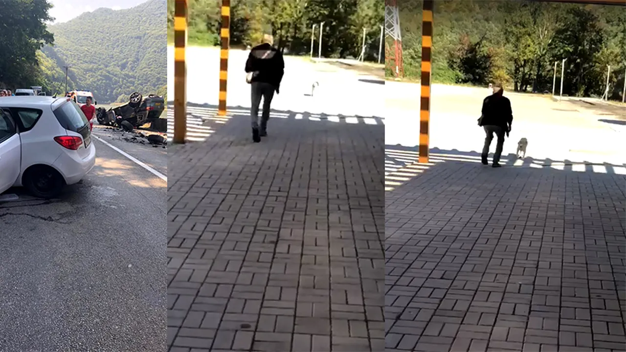 Emotionant! Un caine isi reintalneste stapanul dupa 5 saptamani. Animalul se pierduse dupa un accident rutier pe Valea Oltului (3) 
