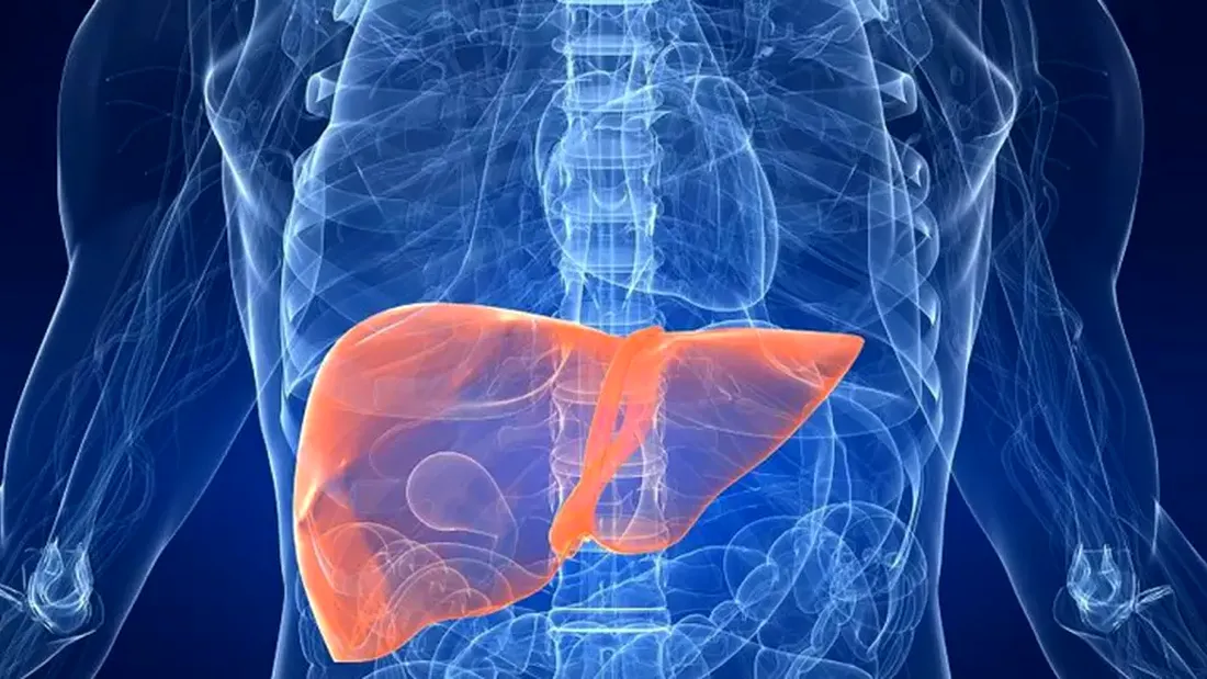 10 semne timpurii ale cirozei hepatice. Avertismentele corpului înainte de agravare