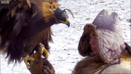 Cum sunt antrenati vulturii in Kazakhstan sa vaneze vulpi! Traditia de secole care inca se pastreaza! Imaginile sunt uluitoare VIDEO
