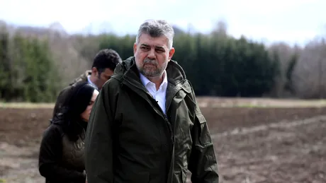 Marcel Ciolacu propune ca tăierile ilegale de păduri să fie pedepsite la fel de dur precum CORUPȚIA