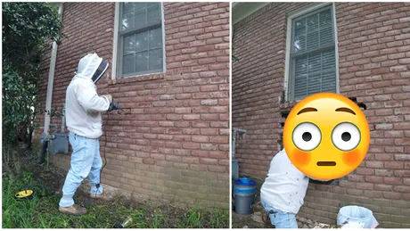 A fost angajat pentru renovarea unei case, dar cand a dat la o parte tencuiala a inlemnit! E infricosator ce traia in bucata de zid, aproape de familie!