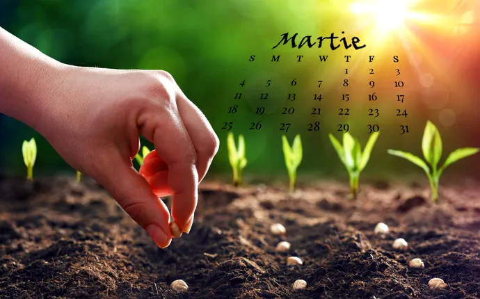 Ce legume și flori se plantează în luna martie pentru o grădină de vis