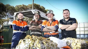 Incredibil! Minerii astia au dat de o mina de aur, la propriu! Descoperirea lor valoreaza mai bine de 10 milioane de euro