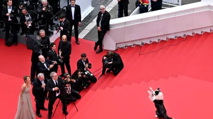 Messi, câinele vedetă de la Oscaruri, are o nouă meserie. A furat toate privirile la Cannes