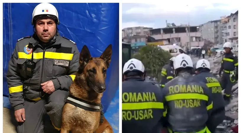Povestea lui Speedy, ciobănescul belgian care a salvat multe vieți după cutremurul din Turcia