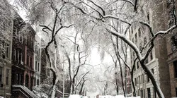 Galerie foto - Poza #1