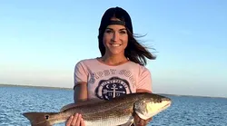 Galerie foto - Poza #4