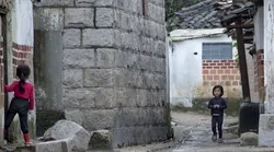 Galerie foto - Poza #4