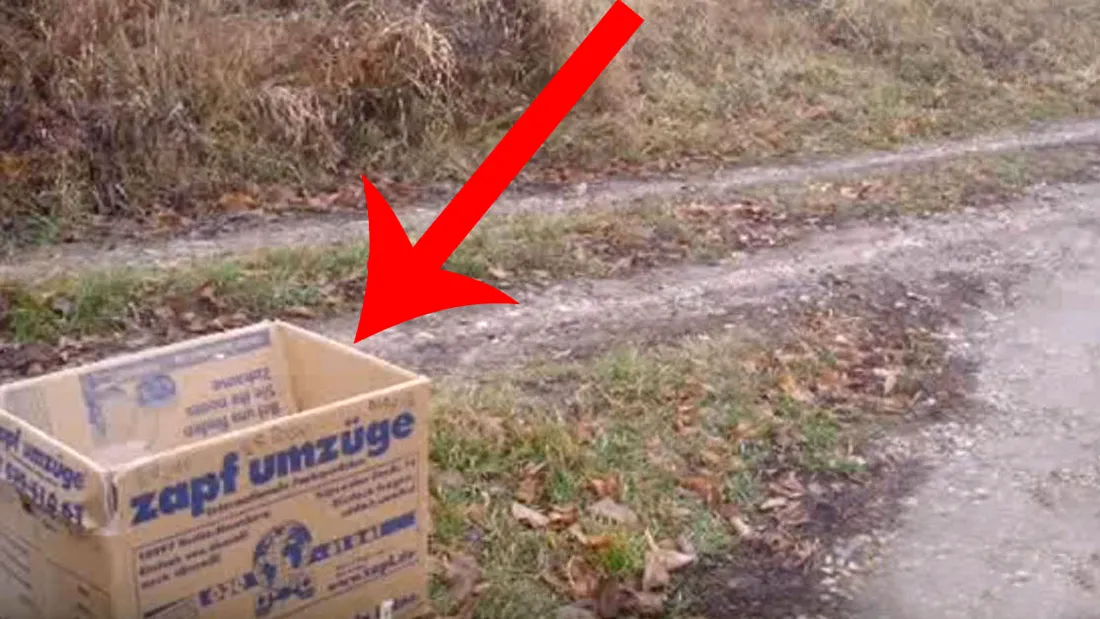 Emotionant :( Mergeau pe strada cand au vazut o cutie la marginea drumului. Au ramas socati cand s-au uitat in ea