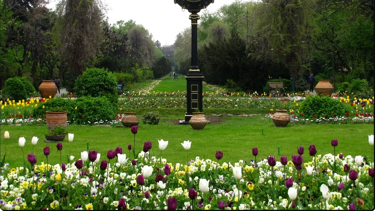 parc 2 