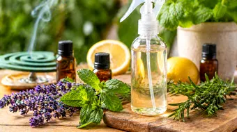 Cum faci o soluție naturală împotriva țânțarilor – metoda simplă pe care o poți încerca acasă