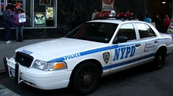 Galerie foto - Poza #4