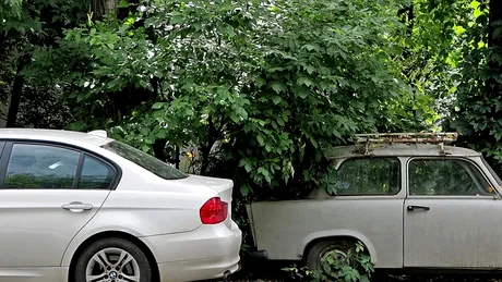 Cum se dezinfectează corect autoturismul. Ce soluții trebuie să folosești pentru a omorî bacteriile și virușii