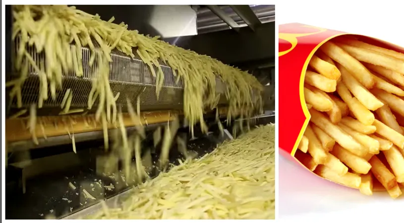 VIDEO! De unde provin de fapt cartofii prajiti de la Mc Donalds si cum ajung sa fie apreciati de toti clientii