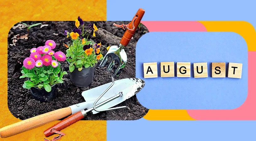 Ce trebuie să faci în luna august în grădina ta. Descoperă cum poți avea o recoltă bogată la toamnă