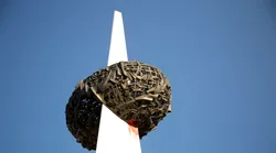 Galerie foto - Poza #4