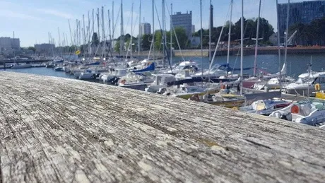 Si-a ucis 3 dintre copii imediat dupa ce i-a nascut si le-a ascuns trupurile timp de zece ani! Unde au fost descoperite corpurile micutilor