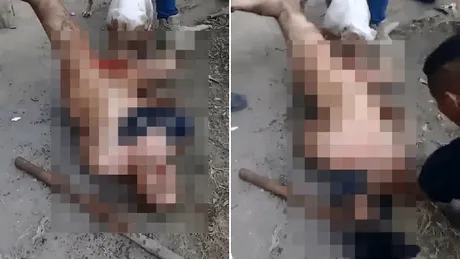 Bărbat castrat de un pitbull. Așa au răzbunat violarea unei femei
