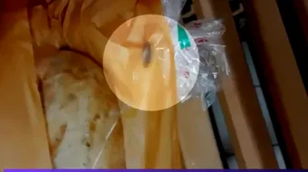 Paine cu gandaci, in prag de sarbatori. Ce au primit clientii unui supermarket VIDEO