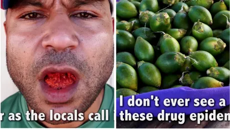 E unul dintre cele mai puternice droguri din lume si totusi nimeni nu vorbeste despre el! Fructul pe care il consuma jumatate din Papua Noua Guinee