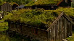 Galerie foto - Poza #4
