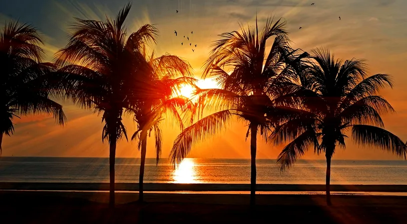 Horoscop 13 iunie 2019: Pestii pot incurca lucrurile la serviciu!