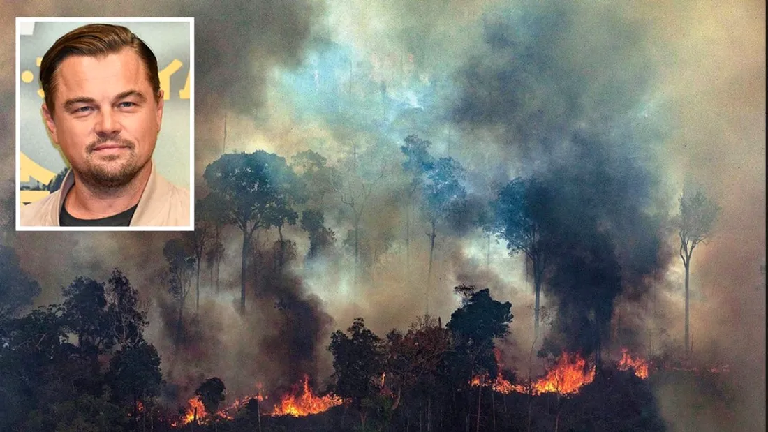 Leonardo DiCaprio, donatie colosala de 5 milioane de dolari pentru salvarea padurii amazoniene!
