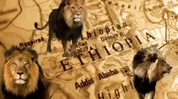 Galerie foto - Poza #4