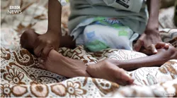 Galerie foto - Poza #4