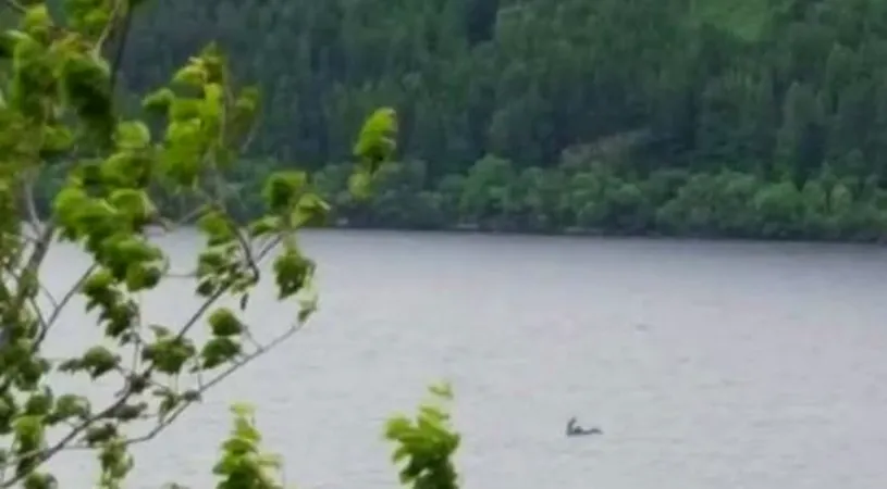 Poza aceasta a devenit virala! Ce monstru celebru sustine un cuplu ca a fotografiat, in vacanta lor