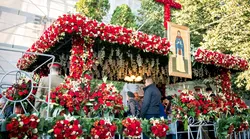 Galerie foto - Poza #4