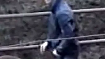 Politistii i-au aratat cateva inregistrari cu iubitul ei si a avut un soc! Tanara l-a parasit pe loc cand a vazut ca acesta intretinea relatii intime cu…