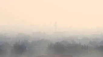 Fenomen îngrijorător în vestul României. Avertisment pentru localnici