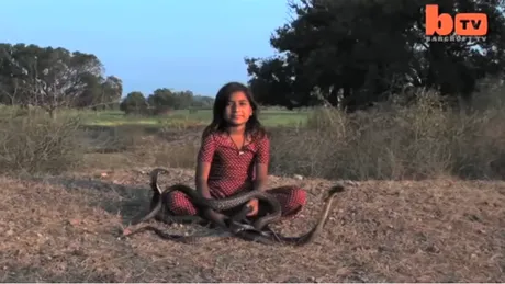 VIDEO! Fetita de 8 ani din India care se joaca cu 6 cobre extrem de veninoase si sfarseste prin a fi muscata! Atentie imagini socante!