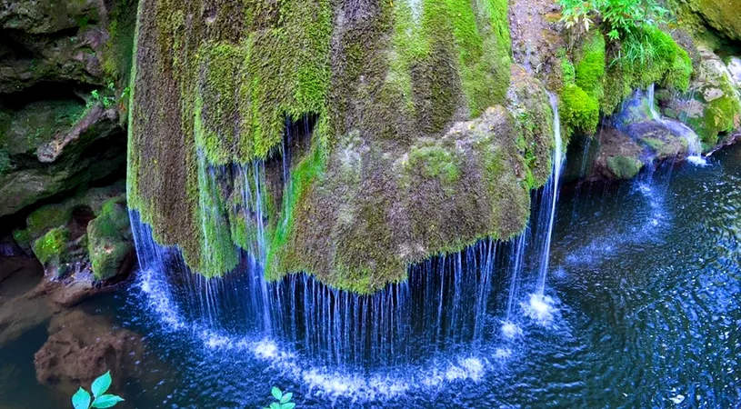 Superba Cascada Bigar, in pericol! Din cauza defrisarilor, 60% din suprafata Parcului National Cheile Nerei a fost afectata VIDEO