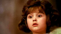 Galerie foto - Poza #4