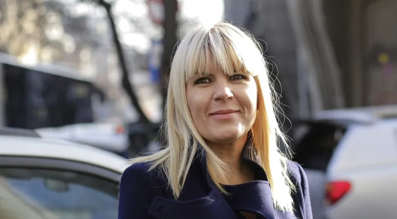 Decizia luată de Elena Udrea, după ce judecătoarea a condamnat-o la 8 ani de închisoare cu executare