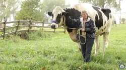 Galerie foto - Poza #4