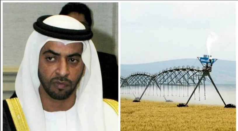 Supertare! Un seic din Abu Dhabi vrea sa plateasca 200 de milioane de euro pentru Insula Mare a Brailei. Ce vor sa faca cu lucerna este genial!