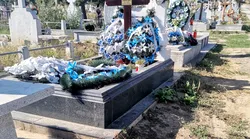 Galerie foto - Poza #4