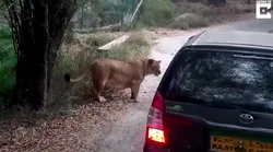 Galerie foto - Poza #4