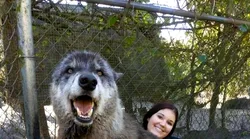 Galerie foto - Poza #4