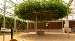 Galerie foto - Poza #4