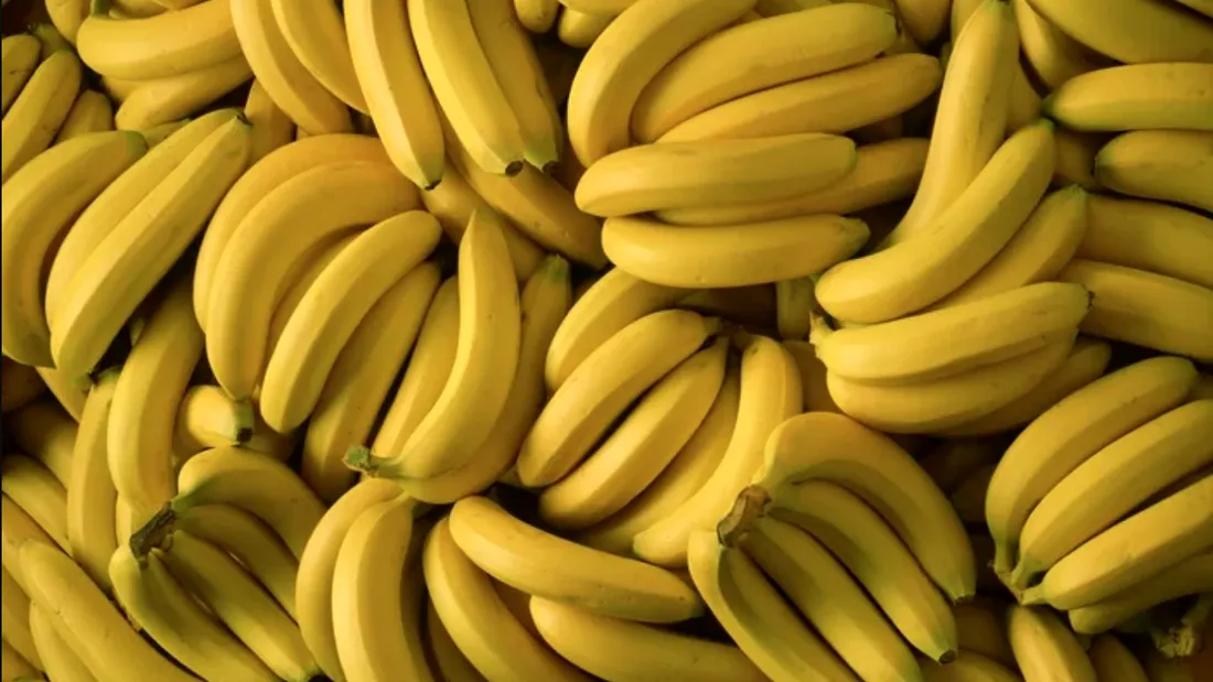 Dispar bananele! Boala care afecteaza arborii bananieri este pe cale sa le faca sa devina istorie. Nicio banana de pe planeta nu va scapa